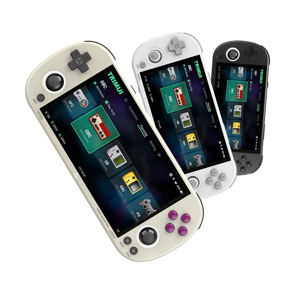 Trimui SmartPro Console™